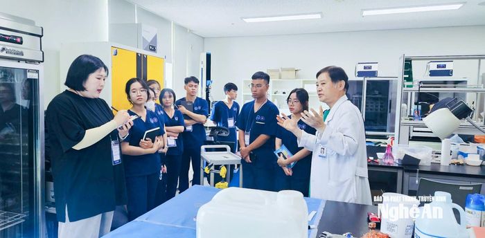 Sinh viên Trường ĐH Vinh trong tiết thực hành ngoại khoa thú y. Ảnh: Mai Hoa