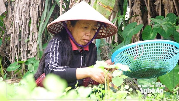 Chị Hiền chồng chất những nỗi lo khi bệnh tật không buông tha mẹ con chị. Ảnh: Cẩm Thùy