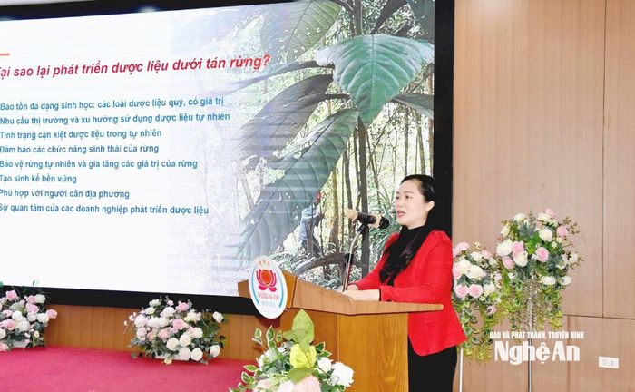 PGS. TS. Đào Thị Minh Châu - Phó Giám đốc Trung tâm Môi trường và Tài nguyên sinh học, Trường Đại học Vinh. Ảnh: Hoài Thu