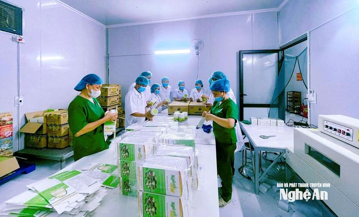 Ứng dụng kinh tế số được triển khai đồng bộ trong quản lý vùng nguyên liệu, truy xuất nguồn gốc, quản trị sản xuất và phân phối sản phẩm của công ty. Ảnh: T.P