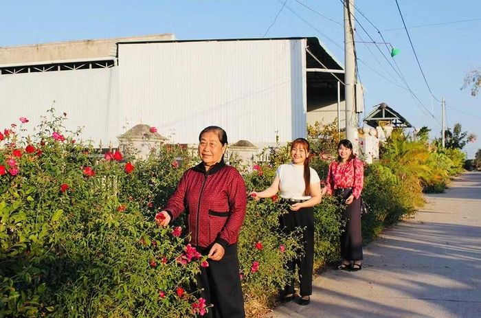  Đoạn đường hoa hồng tại thôn Thắng Lợi 2 (xã Phú Thiện) rực rỡ sắc màu mừng Đảng, mừng Xuân. Ảnh: Vũ Chi 