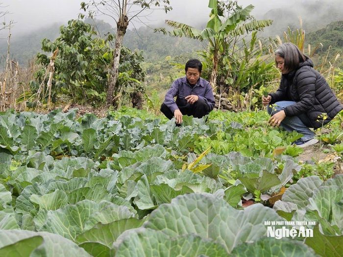Cán bộ xã Nhôn Mai hướng dẫn bà con khôi phục sản xuất, đảm bảo sinh kế. Ảnh: KL