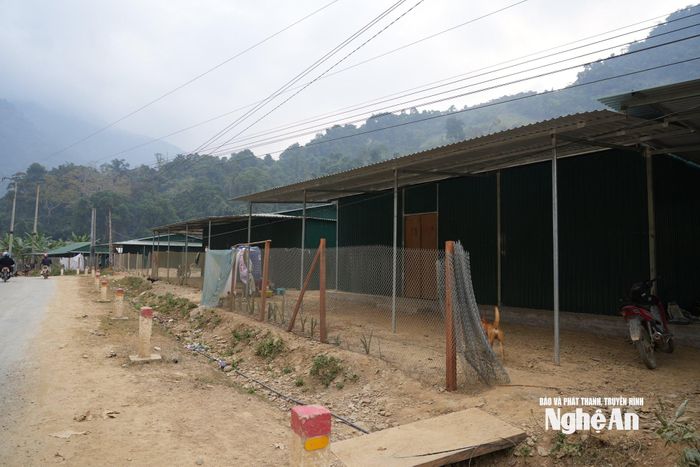 5 hộ bản Phá Mựt bị lũ cuốn trôi nhà đã ổn định cuộc sống ở nơi mới. Ảnh: KL