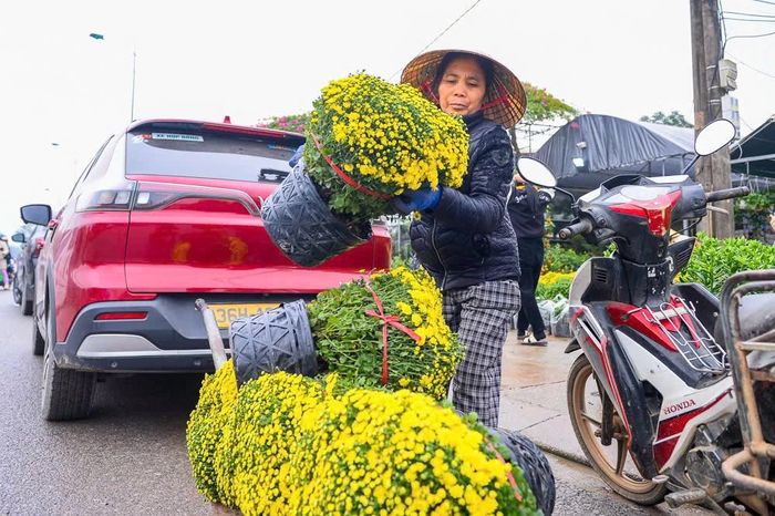 Những ngày ngày, các loài hoa tết cứ thế theo chân các tiểu thương tỏa đi muôn nơi.