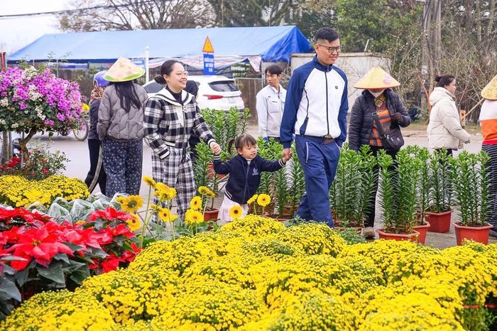 Dù còn hơn 20 ngày nữa mới đến Tết Nguyên đán, nhưng nhiều người dân đã đến các cửa hàng hoa, cây cảnh tìm cho mình mua cho gia đình mình những chậu hoa, cây cảnh phù hợp để trưng bày trong dịp tết.