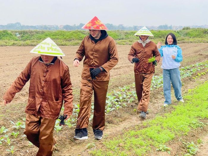 Du khách có thể tận tay trải nghiệm quy trình trồng, chăm sóc, hái lượm những cây rau, củ quả.