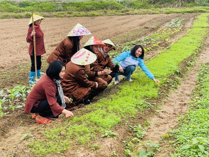 Du khách còn được tham gia các hoạt động trải nghiệm nông nghiệp, như gieo trồng, chăm sóc cây trồng.