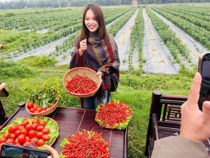 Tham quan mô hình trồng ớt, mô hình sản xuất nông nghiệp theo chuỗi giá trị hàng hóa, nông nghiệp xanh, cho năng suất, chất lượng cao.
