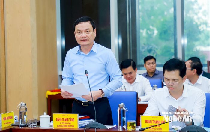 Đồng chí Đặng Thanh Tùng - Ủy viên Ban Chấp hành Đảng bộ tỉnh, Chánh Văn phòng UBND tỉnh phát biểu tại cuộc làm việc. Ảnh: Thành Duy