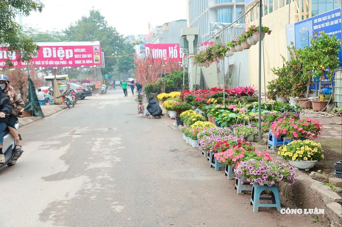 Ngoài đào, quất, bưởi... hoa tươi cũng được các tiểu thương bày bán nhiều, chờ các "thượng đế" đến mua về chơi Tết.