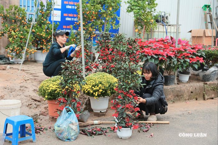 Tiểu thương tranh thủ làm chậu hoa tươi để bày bán cho người dân.