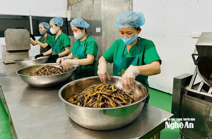 Các cơ sở chế biến thực phẩm Tết từ giữa tháng Chạp đã chuẩn bị nguyên liệu, sơ chế sẵn để đáp ứng nhu cầu khách hàng. Ảnh: T.P