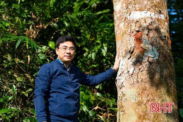 Anh Trần Đức Anh - Phó Giám đốc Công ty TNHH MTV Lâm nghiệp và Dịch vụ Hương Sơn.