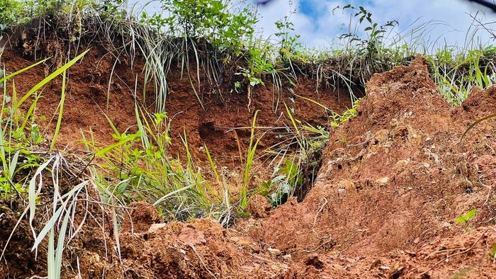 Một vị trí bị sạt lở tạo hàm ếch lớn và nguy cơ xảy ra trượt sạt đất đá. Ảnh: ĐÔNG YÊN