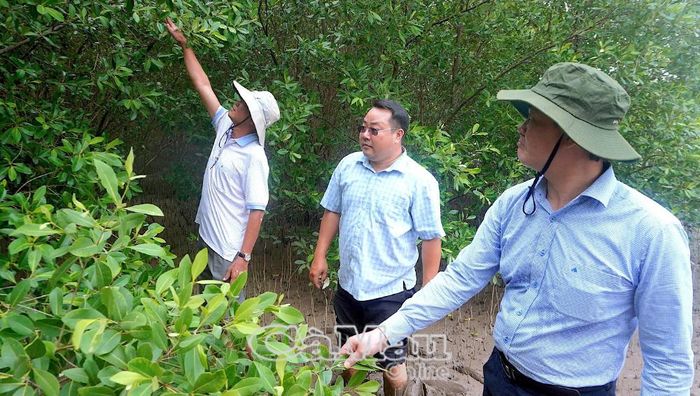 Ðoàn kiểm tra của tỉnh thường xuyên thăm rừng nhằm thúc đẩy tinh thần bám rừng, giữ rừng của người dân và cán bộ địa phương.