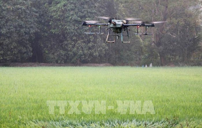 Nông nghiệp thông minh là chìa khóa phát triển trong giai đoạn tới. Ảnh: Công Mạo-TTXVN 