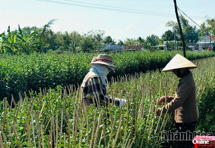 Người dân phường Hòa Thắng chăm sóc hoa.