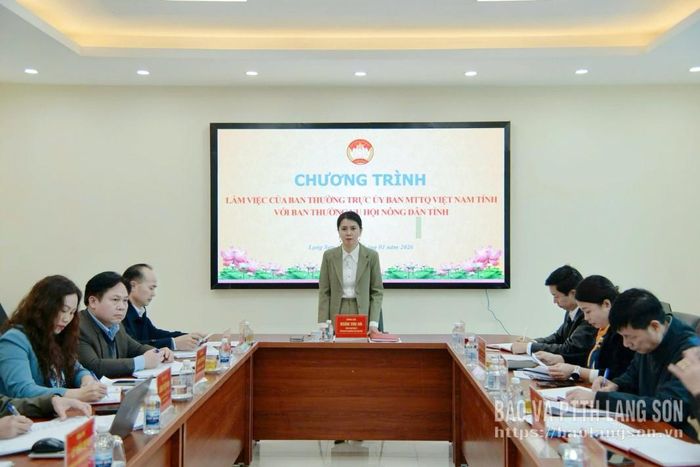Đồng chí Đoàn Thu Hà, Phó Bí thư Tỉnh ủy, Chủ tịch Ủy ban MTTQ Việt Nam tỉnh phát biểu tại buổi làm việc