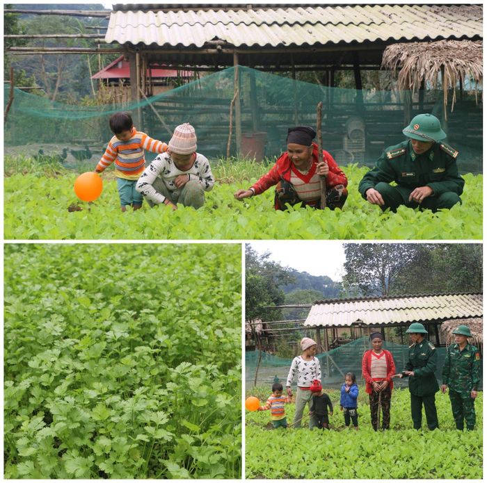 Người dân Cò Phạt chăm lo trồng rau phục vụ cuộc sống. Ảnh tư liệu: K.L