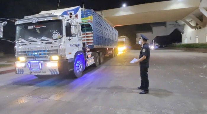 Tại tỉnh Tây Ninh, việc thông quan trở lại từ chiều 31/1 được thực hiện sau khi Sở Nông nghiệp và Môi trường phối hợp Sở Y tế kiểm tra, xác nhận an toàn thực phẩm đối với các lô hàng. Ảnh: CTV