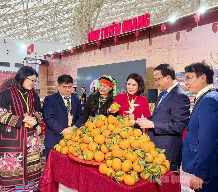 Đồng chí Nguyễn Mạnh Tuấn, Phó Chủ tịch Thường trực UBND tỉnh tham quan gian hàng trưng bày cam sành của tỉnh.