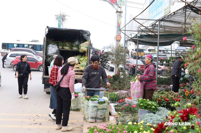 Cảnh mua bán, bốc dỡ, vận chuyển diễn ra hối hả suốt cả ngày.