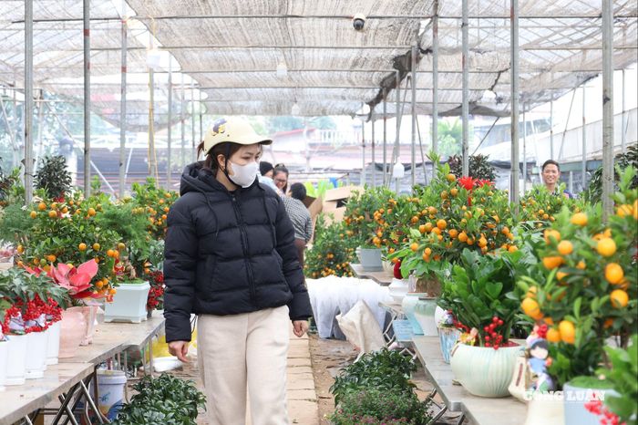Với nhiều người, việc lựa chọn thêm vài sắc hoa xuân để tô điểm cho tổ ấm trong mùa sum họp vẫn là niềm vui mộc mạc nhưng không thể thiếu mỗi dịp Tết đến, xuân về.