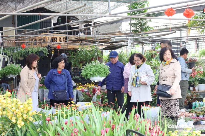 Làng hoa Xuân Quan bước vào mùa cao điểm, người dân đổ về mua hoa chơi Tết từ sớm.