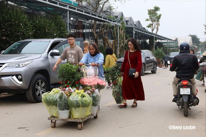 Những chiếc xe chất đầy hoa, cây cảnh xuất hiện khắp chợ.