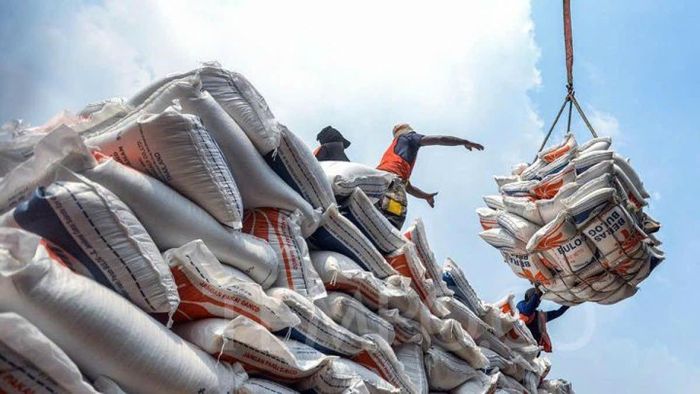 Giá gạo hôm nay 5/2: Gạo xuất khẩu nhích lên, giá lúa biến động trái chiều