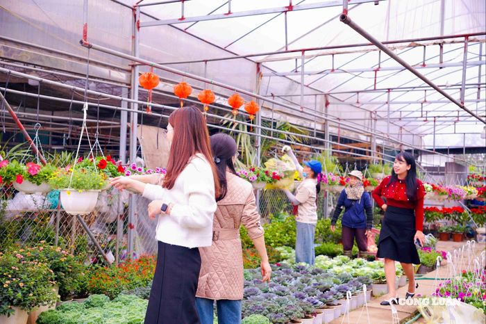 Không khí trao đổi nhộn nhịp và tấp nập giữa khách hàng và người bán.