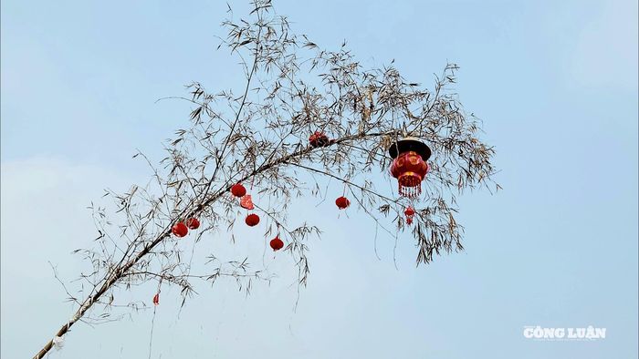 Trên ngọn nêu, người dân treo lồng đèn đỏ và giữ lại chùm lá tươi với ý nghĩa mang lại sinh khí cho gia chủ - Ảnh: Phùng Thọ.
