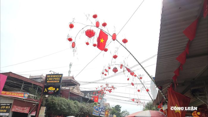 Dọc tỉnh lộ 316 qua xã Hương Cần rợp bóng cây nêu những ngày giáp Tết - Ảnh: Phùng Thọ.