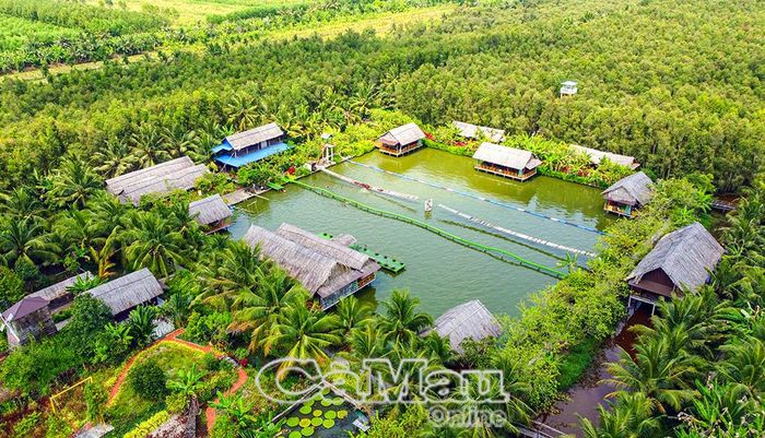 Ðiểm Du lịch sinh thái Hương Tràm được bao quanh bởi rừng tràm xanh mát, là điểm đến lý tưởng của du khách trong dịp Tết.