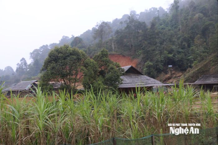 Một góc bản Huồi Mới. Ảnh: KL