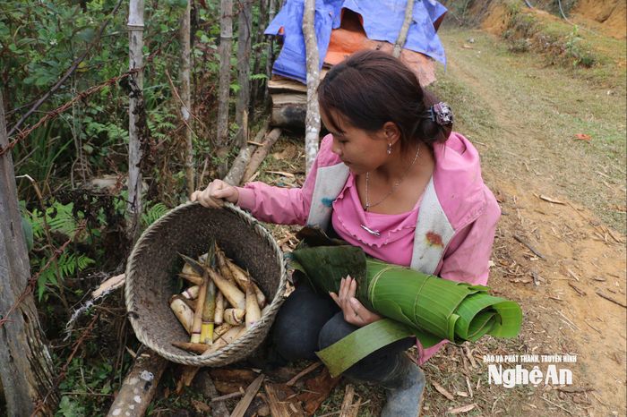 Người dân vào rừng lấy măng, lá chuối để làm thực phẩm cho những ngày Tết. Ảnh: K.L