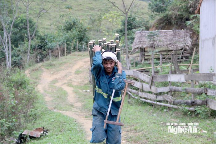 Người dân xã Tiền Phong vào rừng thu hái ống giang, đưa về bán ra thị trường phục vụ nhu cầu gói bánh, chưng Tết. Ảnh: Quang An