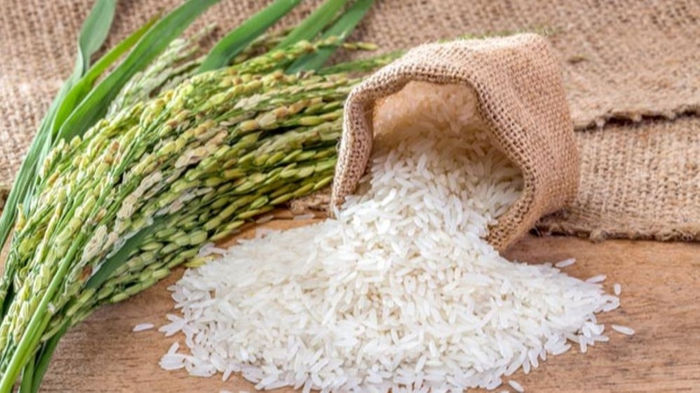 Giá lúa gạo hôm nay (11-2) ít biến động. Ảnh minh họa: kinhtedothi.vn