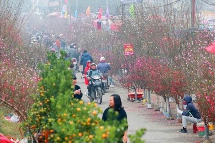 Lần đầu tiên xã Phúc Sơn có chợ hoa xuân tập trung tại sân thể thao Phúc Lâm, góp phần bảo đảm an toàn giao thông, hình thành nếp sống văn minh. Ảnh: PV