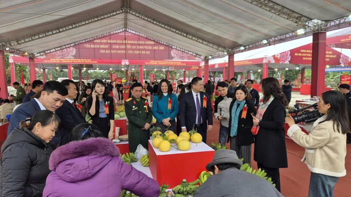Các không gian quảng bá sản phẩm tiêu biểu, đặc sản, OCOP tại Quang Minh – Phúc Lộc – Thạch Thất đang thu hút đông đảo người dân đến tham quan, mua sắm.