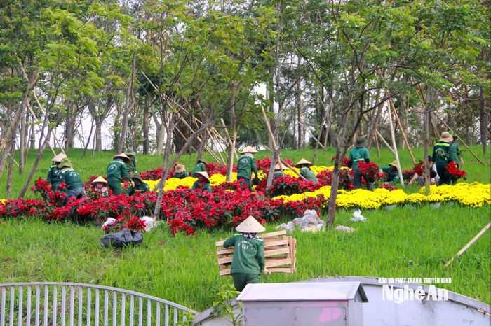 Khu vực núi Chung phía sau Tượng đài Bác Hồ cũng được các tô điểm nhiều loại hoa đầy màu sắc Ảnh: Q.A