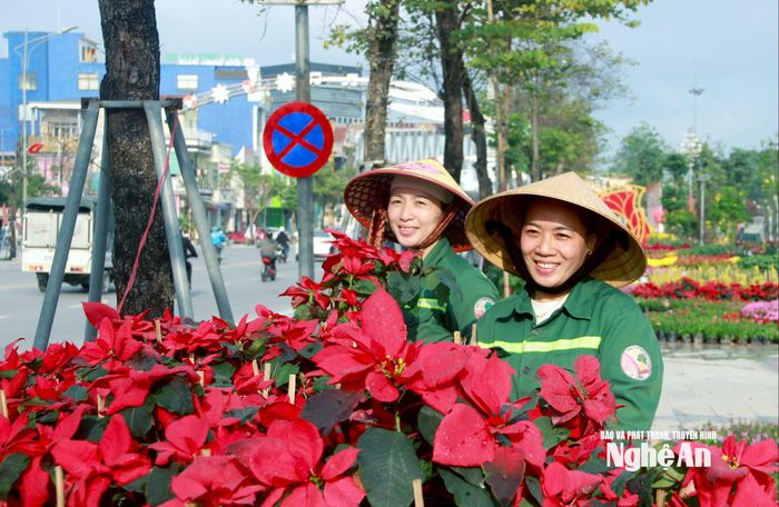 Chị Vương Nga (phải), công nhân Công ty Cổ phần Công viên cây xanh Vinh chia sẻ: “Ngay khi hoa được đưa về, anh, chị em chúng tôi khẩn trương sắp xếp, trang trí, vừa bảo đảm tiến độ, vừa mong góp phần mang đến không khí Tết rộn ràng để bà con vui Xuân, đón năm mới”. Ảnh: Q.A