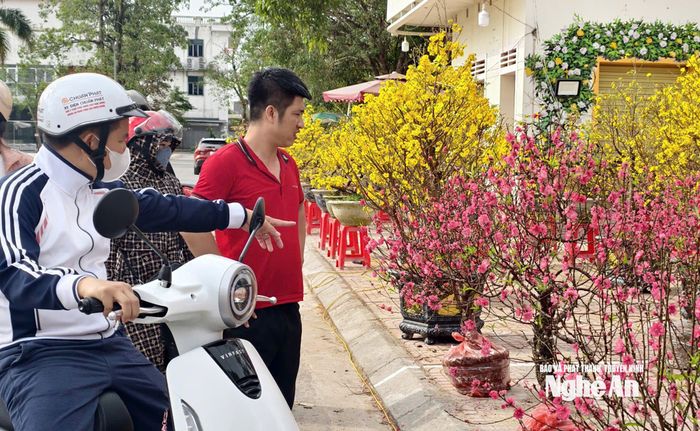 Ở vị trí khách hàng, nhiều người dân dù rất muốn mua hoa ủng hộ thương lái nhưng lo ngại hoa sẽ nở hết trước Tết.Ảnh: Diệp Thanh