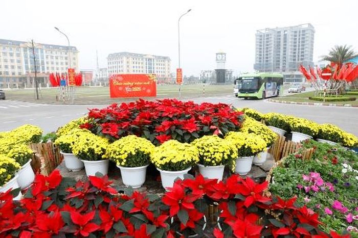  Tuyến đường tỉnh 293, đoạn qua phường Tân Tiến rực sắc cờ hoa. 