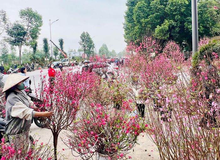  Để giúp người dân thuận tiện trong việc mua sắm hàng hóa Tết, nhất là hoa tươi, cây cảnh, chính quyền các địa phương đã quy hoạch, tổ chức hàng nghìn điểm bán hoa phục vụ Nhân dân. Ảnh: Khu vực bán hoa tươi ở phường Võ Cường. ( Dương Hoàn) 