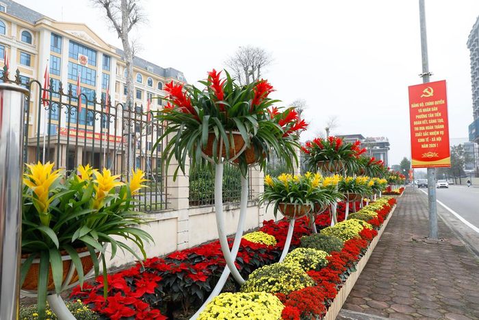 Góc phố dịu dàng. 