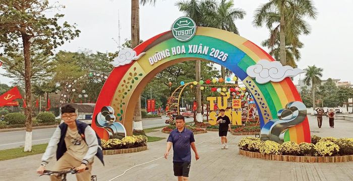  Đường hoa xuân ở phường Từ Sơn. 