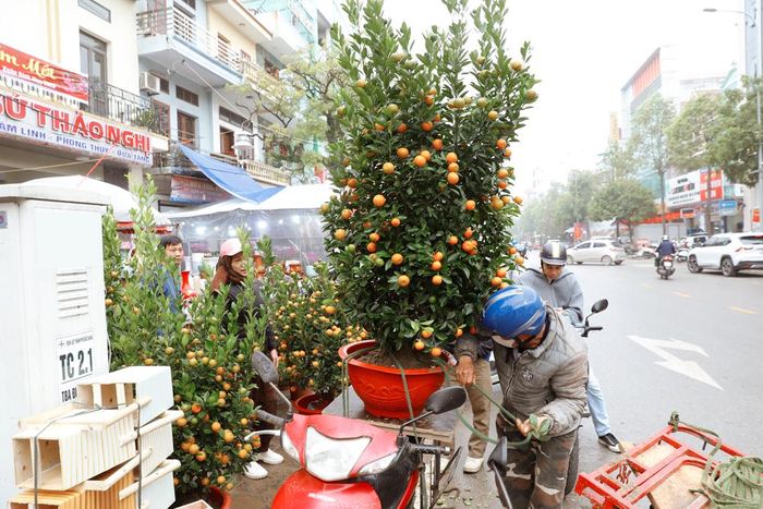  Một góc chợ hoa xuân Vĩnh Ninh, đường Lê Lợi, phường Bắc Giang. 
