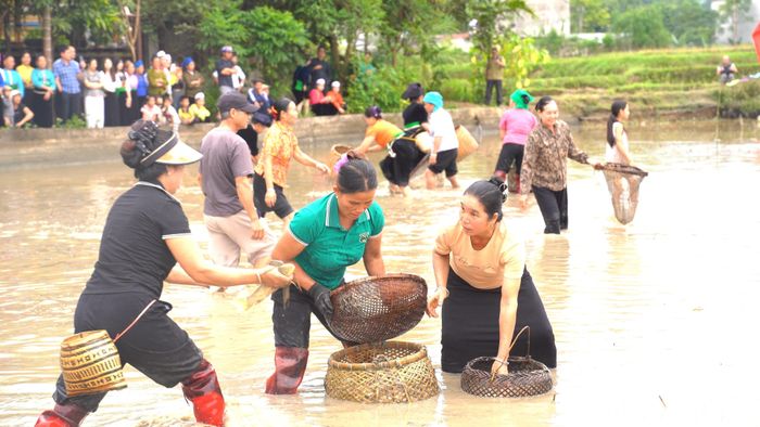 Cá ruộng nhỏ nhưng chắc thịt là nguyên liệu chủ đạo cho nhiều món ăn truyền thống của người Mường. Nụ cười rạng rỡ của người dân phản ánh một niềm vui giản dị: thu hoạch từ chính mảnh ruộng mình canh tác.