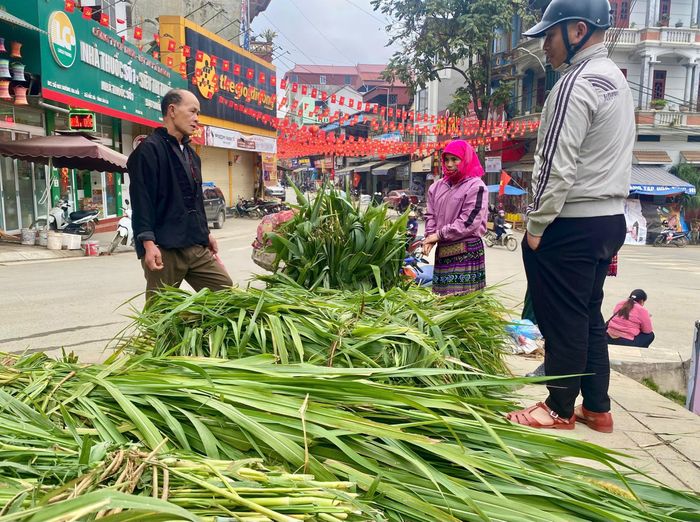 Năm nào cũng vậy, những phiên chợ áp Tết Nguyên đán, vùng cao Bắc Hà luôn có một góc dành riêng để người dân mua bán cỏ để làm thức ăn cho gia súc.